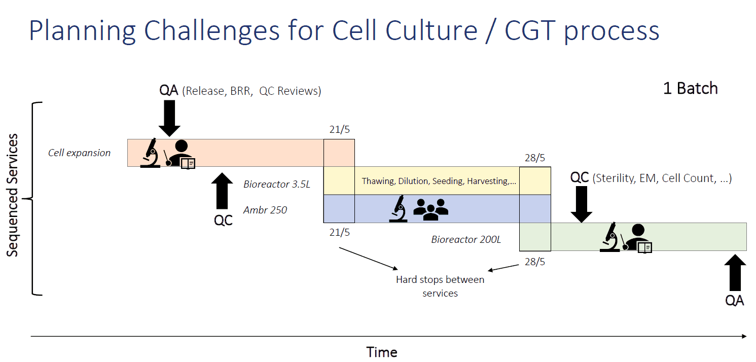Cell gene therapy (CGT) and Cell culture development