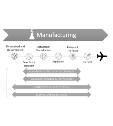 Binocs: Interconnected world of centralized CGT manufacturing and supply chain