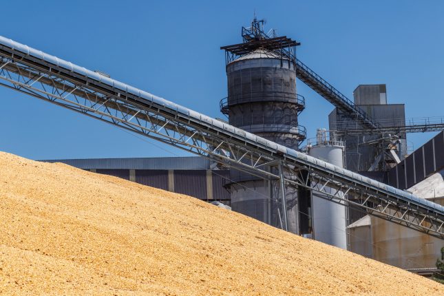 Corn and Grain Handling or Harvesting Terminal